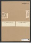 Plagiogramma biharense Pant. (de-Toni-Nr.: Genus 83, Species 2912) Zeichnungen Sammlung Grunow Nr. 5901 (NHMW-BOT-W0374358)